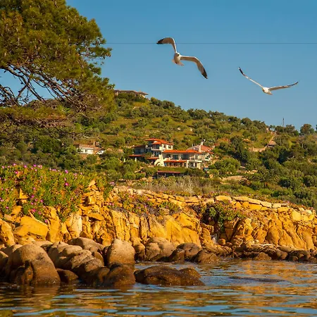 Thalassokipos * Vourvourou