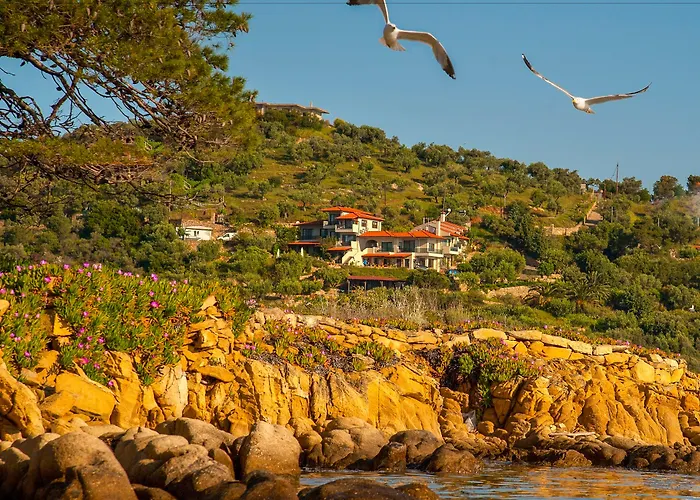 塔拉所奇波公寓 * 沃尔沃罗